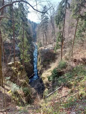 Przyroda w pobliżu tego apartamentu