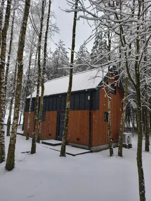 Obiekt Cieniówka, DOMEK W LESIE, nowy domek, rezerwat przyrody,Kije zimą