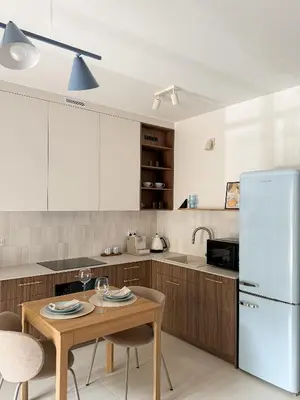 Kuchnia lub aneks kuchenny w obiekcie Modern Apartament Premium Czysta