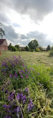 Przyroda w pobliżu tego kempingu