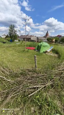 Przyroda w pobliżu tego kempingu