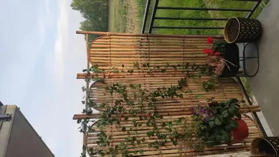 Plan piętra w obiekcie Leśny Zakątek