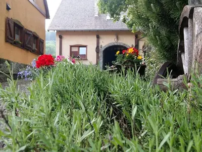 Plan piętra w obiekcie Agroturystyka Agro-Podkówka