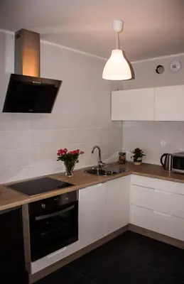 Kuchnia lub aneks kuchenny w obiekcie Studio Pionier