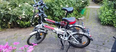 Ogród w obiekcie Słoneczne apartamenty