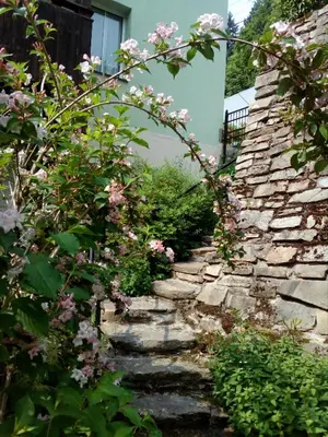 Ogród w obiekcie Apartamenty Kaskada