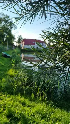 Przyroda w pobliżu tego hotelu