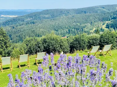 Plan piętra w obiekcie Apartamenty InnWersja