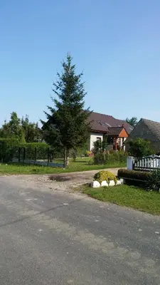 Przyroda w pobliżu tej kwatery prywatnej