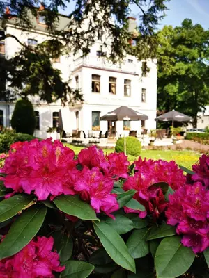 Ogród w obiekcie Hotel Fryderyk