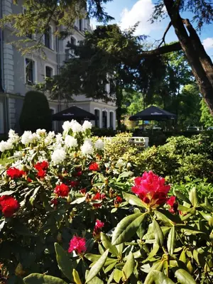 Ogród w obiekcie Hotel Fryderyk