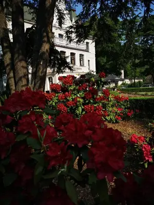 Ogród w obiekcie Hotel Fryderyk