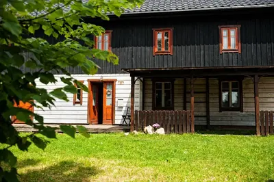 Ogród w obiekcie Potoczek 19