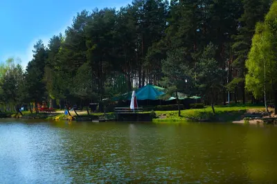 Przyroda w pobliżu tego obiektu B&B