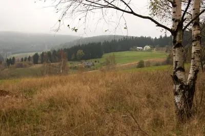 Przyroda w pobliżu tego domu wakacyjnego