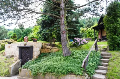 Ogród w obiekcie Agroturystyka Wzgórze Magnolii