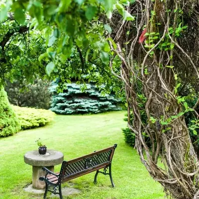 Agroturystyka Wzgórze Magnolii