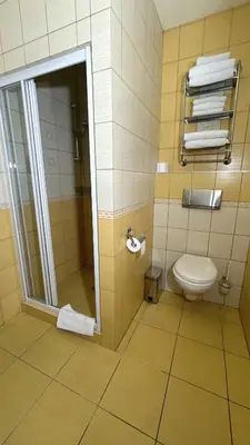 Łazienka w obiekcie Noclegi I Restauracja Zodiak