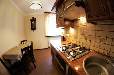 Kuchnia lub aneks kuchenny w obiekcie Apartament Morawka