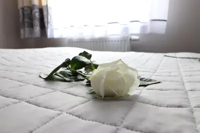 Łóżko lub łóżka w pokoju w obiekcie Apartamenty BM'Kruk