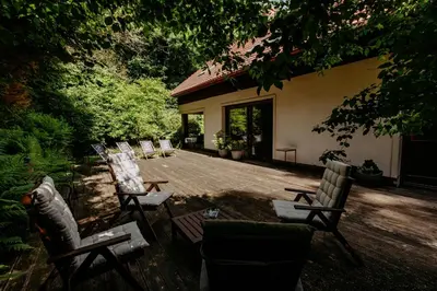 Ogród w obiekcie Dom Puchacza w Lądku-Zdroju