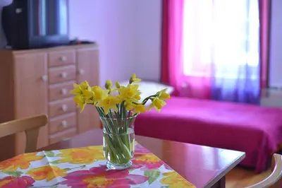 Telewizja i/lub zestaw kina domowego w obiekcie Biotanika