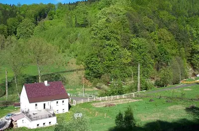 Przyroda w pobliżu tego gospodarstwa agroturystycznego