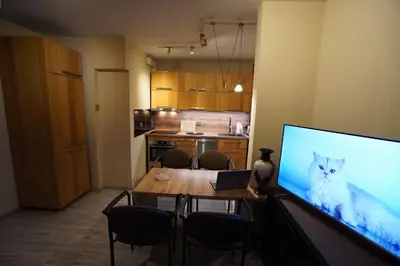 Kuchnia lub aneks kuchenny w obiekcie Apartment 6 Gwiazdek