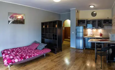 Kuchnia lub aneks kuchenny w obiekcie Marea Apartment
