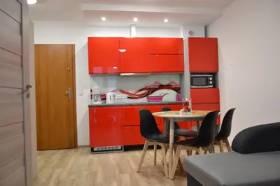 Kuchnia lub aneks kuchenny w obiekcie Apartamenty Pod Rudką Czarna Góra