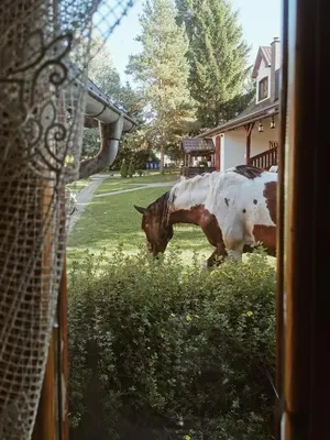 Ogród w obiekcie Jasminowe Wzgorze