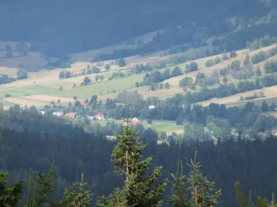 Przyroda w pobliżu tego apartamentu