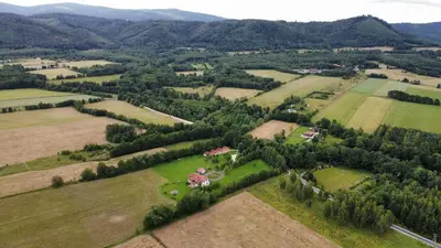 Przyroda w pobliżu tego gospodarstwa agroturystycznego