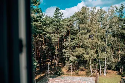 Przyroda w pobliżu tego motelu