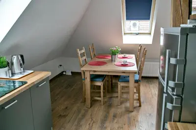 Kuchnia lub aneks kuchenny w obiekcie Apartament Przy Rynku