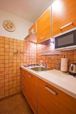 Kuchnia lub aneks kuchenny w obiekcie Willa Róż w Międzygórzu