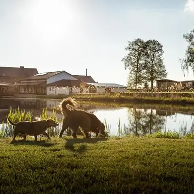 Tawerna Pod Kotwicą pokoje i domy wakacyjne