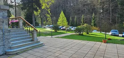 Ogród w obiekcie Willa Trebla