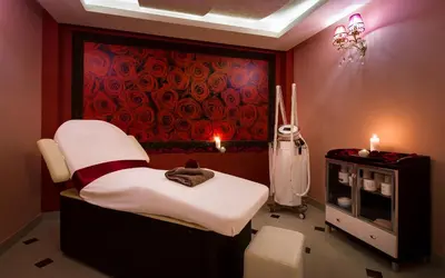 Zaplecze spa i wellness w obiekcie Hotel Adam & Spa