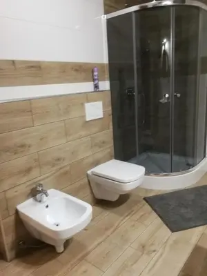 Łazienka w obiekcie Apartamenty w Gorach Stolowych