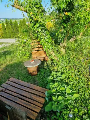Ogród w obiekcie Apartament u Beti