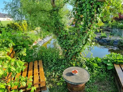 Ogród w obiekcie Apartament u Beti