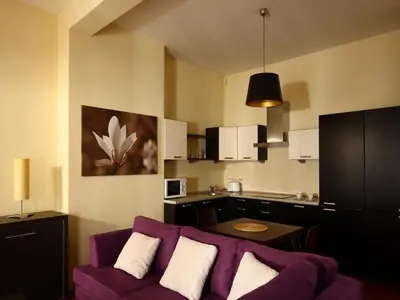 Kuchnia lub aneks kuchenny w obiekcie Apartamenty Złota Nić