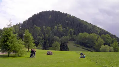 Przyroda w pobliżu tej kwatery prywatnej