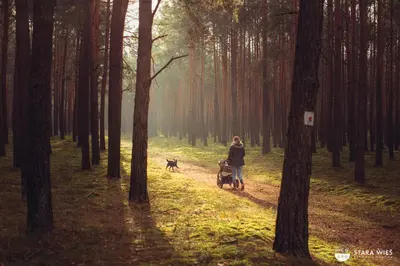 Goście zatrzymujący się w obiekcie Resort Stara Wieś