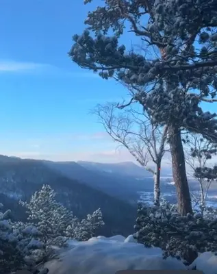 Przyroda w pobliżu tego domu w stylu alpejskim