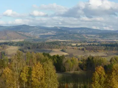 Przyroda w pobliżu tego gospodarstwa agroturystycznego
