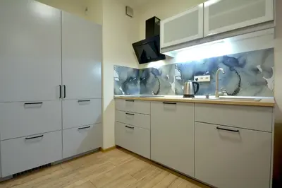 Kuchnia lub aneks kuchenny w obiekcie Apartament Bema 37
