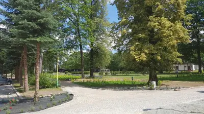 Ogród w obiekcie Centrum Noclegowe Amfiteatr