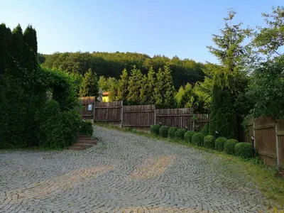 Przyroda w pobliżu tego hostelu
